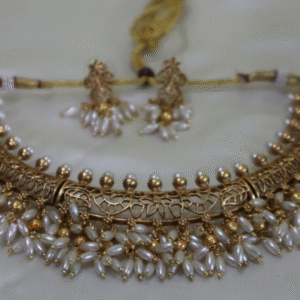Kerala Hasli set - NS07